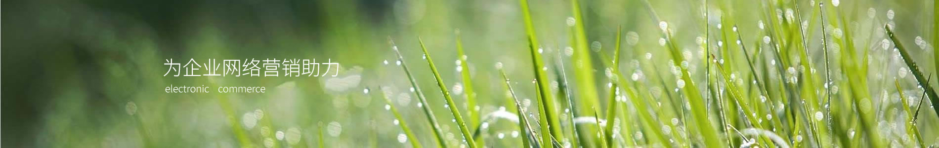 Ǯ´ӡˢƼ޹˾